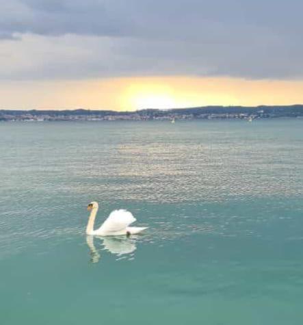 Lido Galeazzi Giant Pool Daire Sirmione Dış mekan fotoğraf